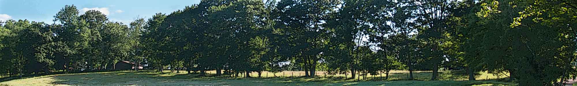 scenic image of palmyra township, wayne county, pennsylvania